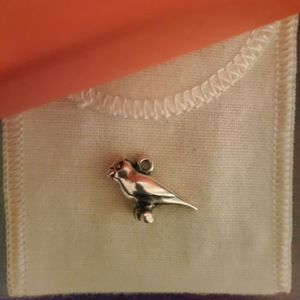 James Avery cardinal charm